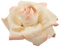 Kaz_Creations Deco  Flower Colours Victorian - Free PNG Animated GIF