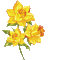 Flowers yellow bp - Δωρεάν κινούμενο GIF κινούμενο GIF