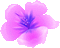purple animated flower
