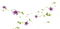 soave flowers deco border branch purple - бесплатно png анимированный гифка