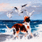 dog hund milla1959 - Free animated GIF Animated GIF