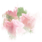 rose rose.Cheyenne63 - ingyenes png animált GIF