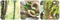 green by thecandycoating - png gratuito GIF animata