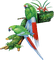 Birds - безплатен png анимиран GIF