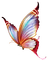 MMarcia borboleta colorida - бесплатно png анимированный гифка