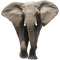 Kaz_Creations Elephant - PNG gratuit GIF animé