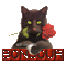 bonjour - Zdarma animovaný GIF animovaný GIF