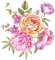 Blumen, orange, pink - PNG gratuit GIF animé