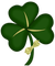 Kaz_Creations St Patrick's Day - png gratuito GIF animata