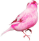 Kaz_Creations Rose Pink Deco Scrap Bird Birds