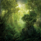 Rena grüner Hintergrund Wald Forest - nemokama png animuotas GIF