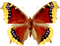 Kaz_Creations Butterfly - gratis png animeret GIF