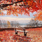 kikkapink autumn animated background - Darmowy animowany GIF animowany gif