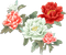 soave deco flowers branch oriental spring pink - png gratis GIF animado