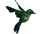 birds katrin - Бесплатный анимированный гифка анимированный гифка