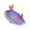 sea slug - png gratuito GIF animata