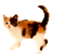 Kitten - Бесплатный анимированный гифка анимированный гифка