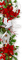 Christmas.Deco.Border.Green.Red.White - zdarma png animovaný GIF