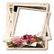 frame cadre flowers - besplatni png animirani GIF