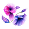 Fiori Viola - gratis png animerad GIF