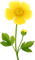 yellow flower - PNG gratuit GIF animé
