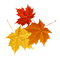 leaves  Bb2 - безплатен png анимиран GIF