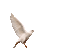 Птица - Bezmaksas animēts GIF animēts GIF