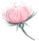 kikkapink deco flower pink - PNG gratuit GIF animé