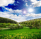 Rena Background Hintergrund Wiese Landschaft - zadarmo png animovaný GIF