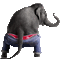 Elefante - 無料のアニメーション GIF アニメーションGIF