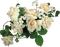 flowers two katrin - zadarmo png animovaný GIF