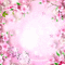 Hintergrund Blumen, background flowers, fleurs, fond - Δωρεάν κινούμενο GIF κινούμενο GIF