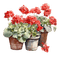 Цветы акварель - PNG gratuit GIF animé