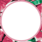 soave frame circle summer fruit watermelon pink - ingyenes png animált GIF