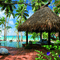 Summer Background - png gratis GIF animado