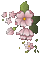 Flower - Bezmaksas animēts GIF animēts GIF