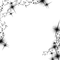 MARCO-ESTRELLAS NEGRAS - Free PNG Animated GIF