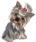 dog - zadarmo png animovaný GIF