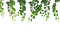 hojas verdes colgando dubravka4 - PNG gratuit GIF animé
