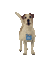 perro que ladra  gif  dubravka4 - Kostenlose animierte GIFs Animiertes GIF