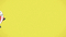 Teddie Falls - Ingyenes animált GIF