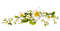 border flowers - png gratis GIF animado