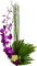 fleur violet.Cheyenne63 - δωρεάν png κινούμενο GIF