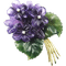 flower bouquet - PNG gratuit GIF animé