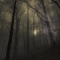 Gothic.Forest.Forêt.Landscape.gif.Victoriabea - GIF animé gratuit GIF animé