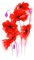 soave deco flowers poppy red purple - PNG gratuit GIF animé