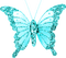 Glitter.Butterfly.Turquoise