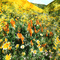 kikkapink background animated field spring - Free animated GIF Animated GIF
