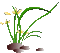 plants katrin - Darmowy animowany GIF animowany gif