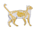 skeleton cat by trash-pngs - zadarmo png animovaný GIF